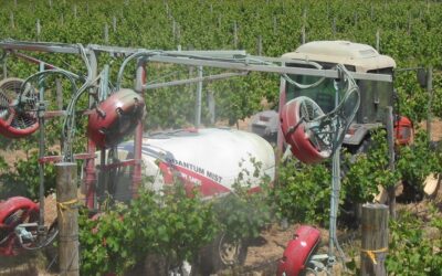 Crop Protection & Nutrition