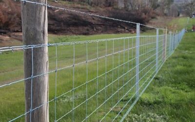 Fencing