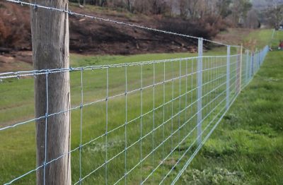 Fencing